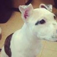 carol_hulbert avatar