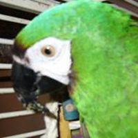 carol_gelfand avatar