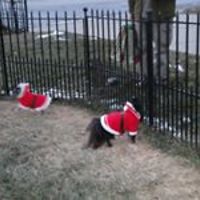 barbara_armstrong_1426 avatar