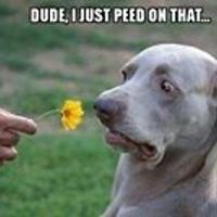 tessa_younger avatar