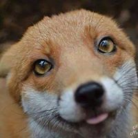 lucy_padovano avatar