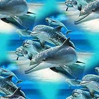 donna_mills_39982 avatar