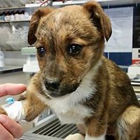 elaine_renton_92 avatar