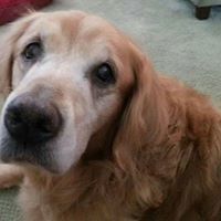 sandy_gardner1 avatar