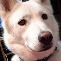 nichole_rutledge_501 avatar