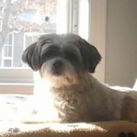 arlene_wilson_1804 avatar