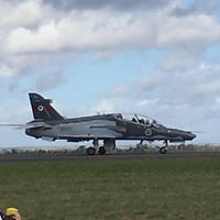 betina_kroner avatar