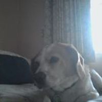 karen_hickey_3979 avatar