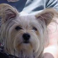 susan_bernstein_315 avatar