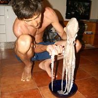 maksim_moiseev_5 avatar