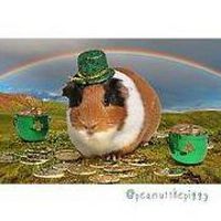 bonnie_beckett avatar