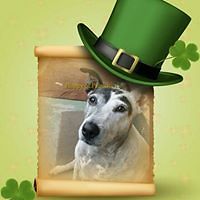 june_leonard_378 avatar