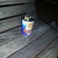 nicole_pepper_3139 avatar