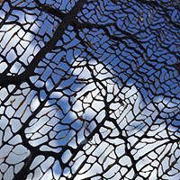 shaunakwoolley avatar