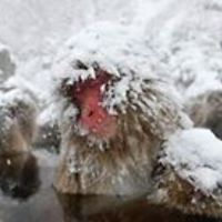 radek_stepniewski_7 avatar