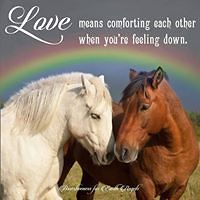 brenda_debolt_1 avatar