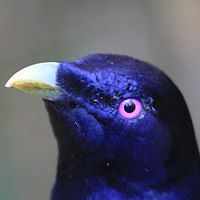 gerard_bowe_7 avatar