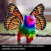 lorna_bramley_9 avatar