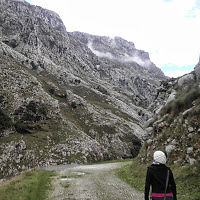 maramacgregor avatar