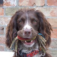 denis_coulson1 avatar