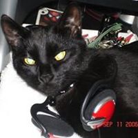 daniel_funakoshi avatar