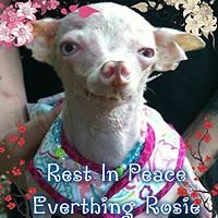 jannethiebaud avatar