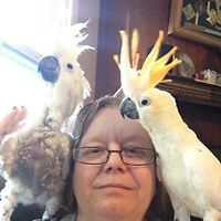 kimberly_olander avatar