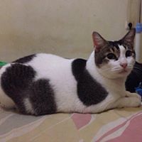 helene_olivia_5 avatar