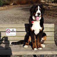 becky_brindle1 avatar