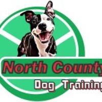 shelley_sloane_9 avatar