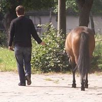 marcin_wolski_16503 avatar