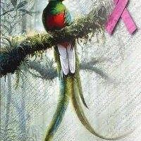 margaret_kelly_16 avatar