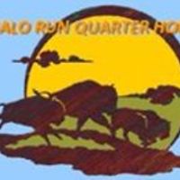 buffalorun_quarterhorses avatar