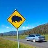 lynnette_smith_718 avatar