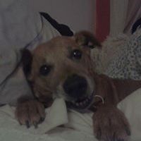 antonia_malyon1 avatar