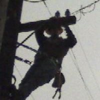 anthony_p_nichols avatar