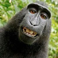 elizabeth_daren avatar