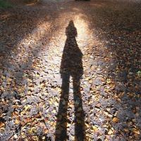 tessa_vosselman avatar