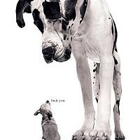 dave_scott_92 avatar