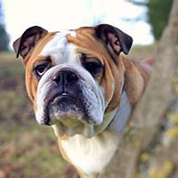 jennylynn_shidler avatar