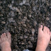 yvonne_s_brassfield avatar