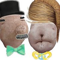 CreativityQueen avatar