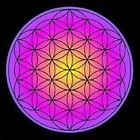 jane_sinclair_967 avatar