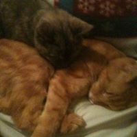 bonnie_jean_5099 avatar