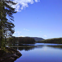 consciouslyaware avatar