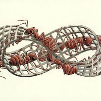 fabriciokolberg avatar