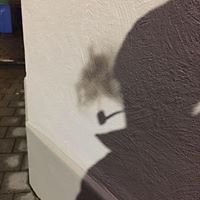 pelec_lecureux avatar