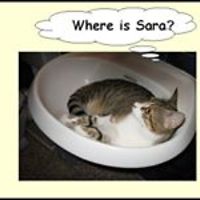 sara_hill_5686322 avatar