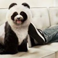 amanda_buck_37853 avatar