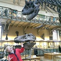 550f8f0bc67ed avatar